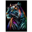 Colourful Tiger